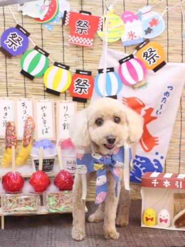 20240725ココアちゃん